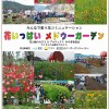 「花いっぱい　メドウーガーデン」ポスター_2012_10-29