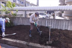 仙台市角五郎復興公営住宅花壇に草花の植え付け作業