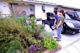 昨年9月に山元町坂元地区に作った花壇