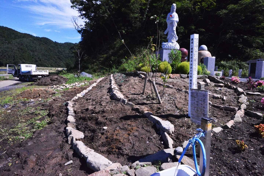 大川地区の慰霊碑へ芝桜を植える準備②