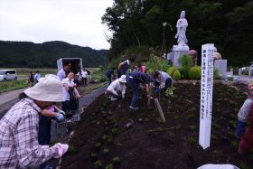 大川地区の慰霊碑へ芝桜の植え付け