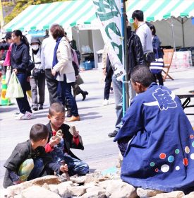 仙台市市民広場で開催中の新緑祭