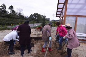 横浜ＪＡ植木部会からの東日本大震災復興支援事業