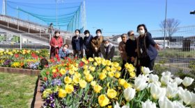 仙台市若林区大和町復興公営住宅の花壇の育て方講習会