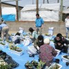 ４月30日　仙台市六郷中学校避難所　草花植え付けプランター４０個