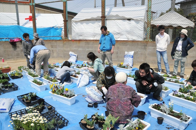 ４月30日　仙台市六郷中学校避難所　草花植え付けプランター４０個