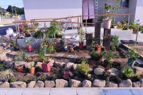 昨年9月に山元町坂元地区に作った花壇