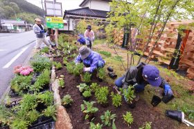 福島県双葉郡川内村にて花壇に宿根草を植えました。