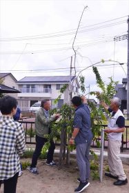 JA横浜農業協同組合　植木部会_支援活動