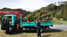 横浜ＪＡ植木部会の支援活動