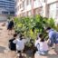 仙台市立榴岡小学校の花壇つくりの支援