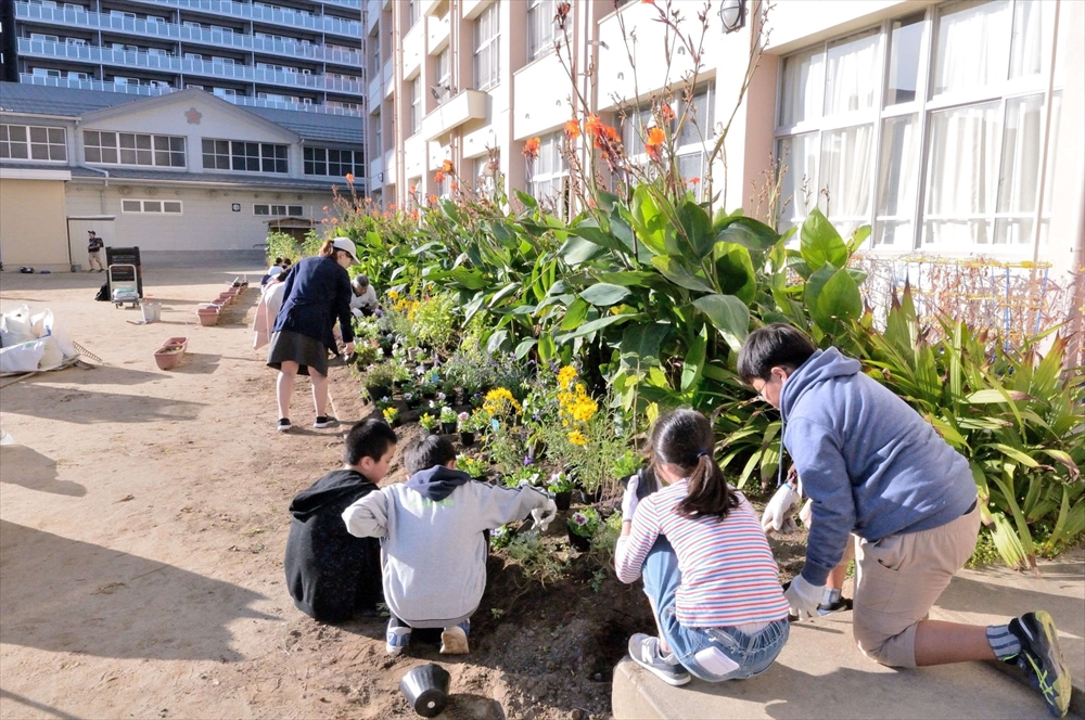 仙台市立榴岡小学校の花壇つくりの支援