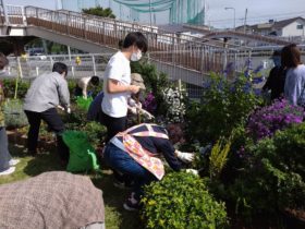 仙台市若林区大和町復興公営住宅の花壇の育て方講習会